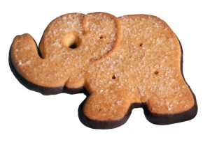 SŁONIK NA SZCZĘŚCIE 500G CELPOL