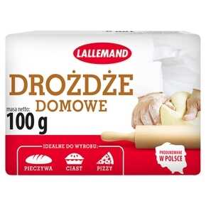 DROZDZE  KOSTKA 100G/10 LALLEMAND